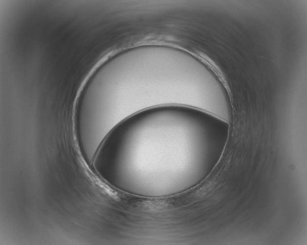 X0000084001384200702160745