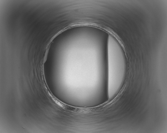 X0000084001385200702160745