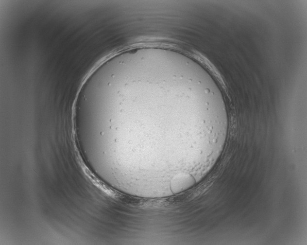 X0000084001386200702160745