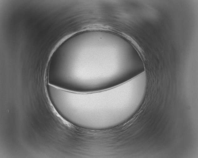 X0000084001387200702160745