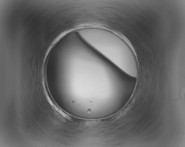 X0000084001389200702160745