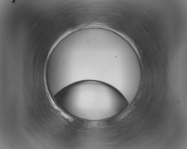 X0000084001390200702160745