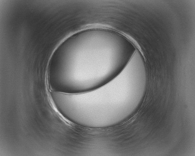 X0000084001391200702160745