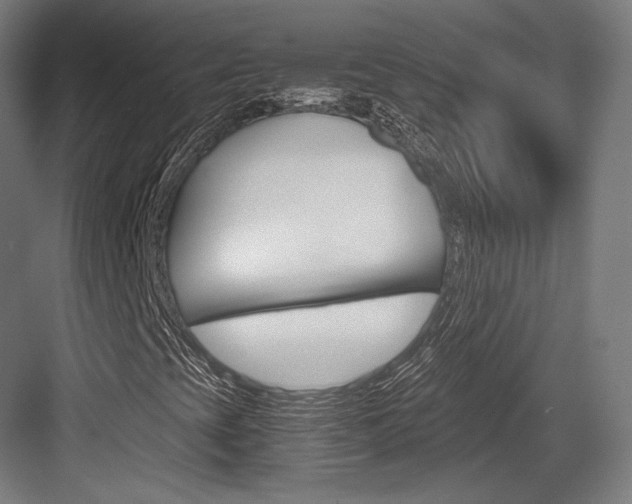X0000084001393200702160744