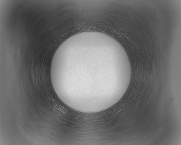 X0000084001394200702160744