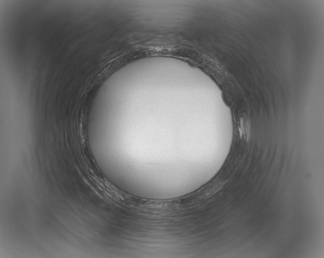 X0000084001396200702160744