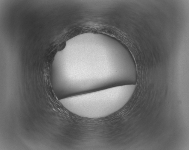 X0000084001397200702160744