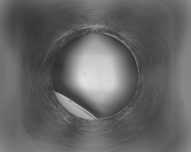 X0000084001398200702160744