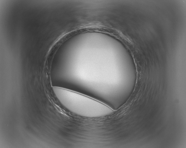X0000084001400200702160744