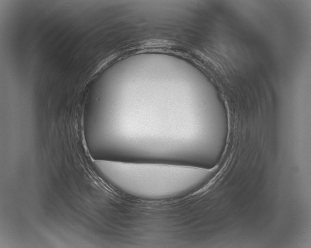 X0000084001401200702160744
