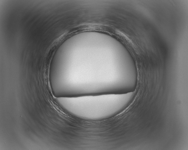 X0000084001403200702160744