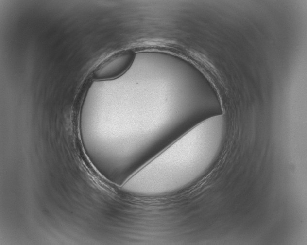 X0000084001404200702160744