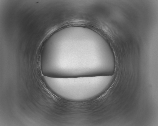 X0000084001405200702160744