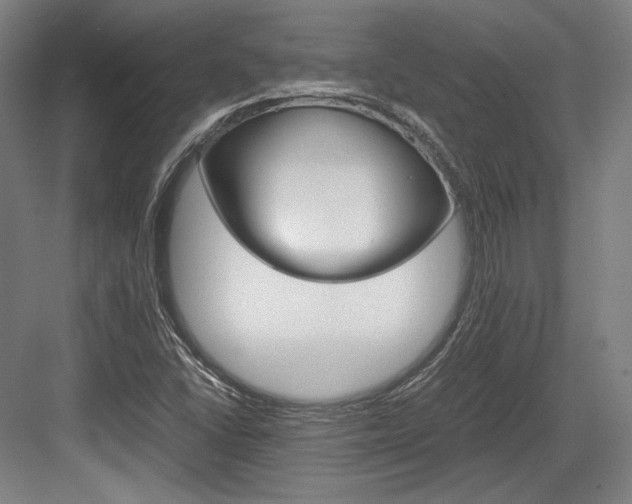 X0000084001406200702160744