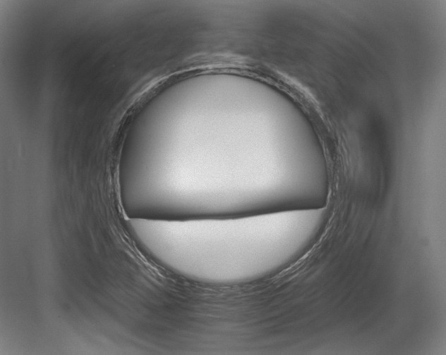 X0000084001407200702160744