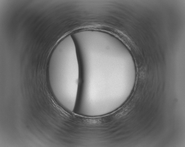 X0000084001409200702160744