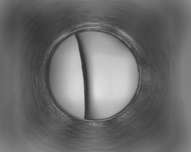 X0000084001411200702160744