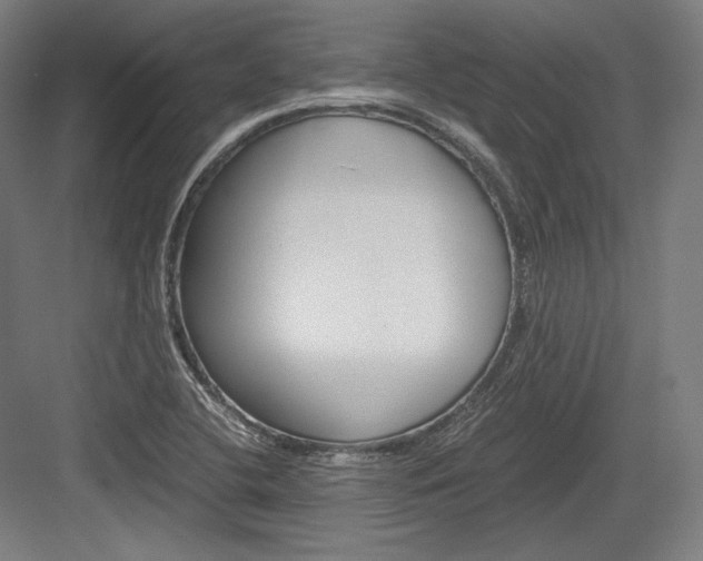 X0000084001412200702160745