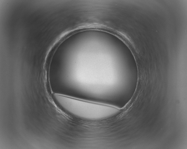 X0000084001414200702160745