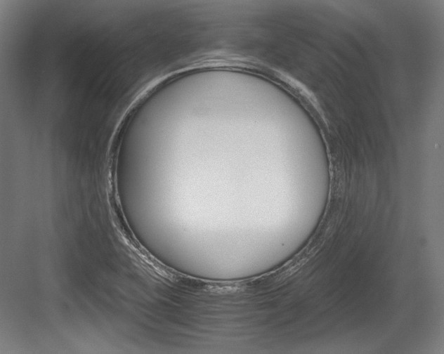 X0000084001415200702160745