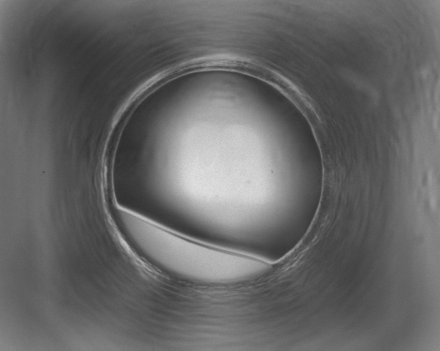 X0000084001418200702160745
