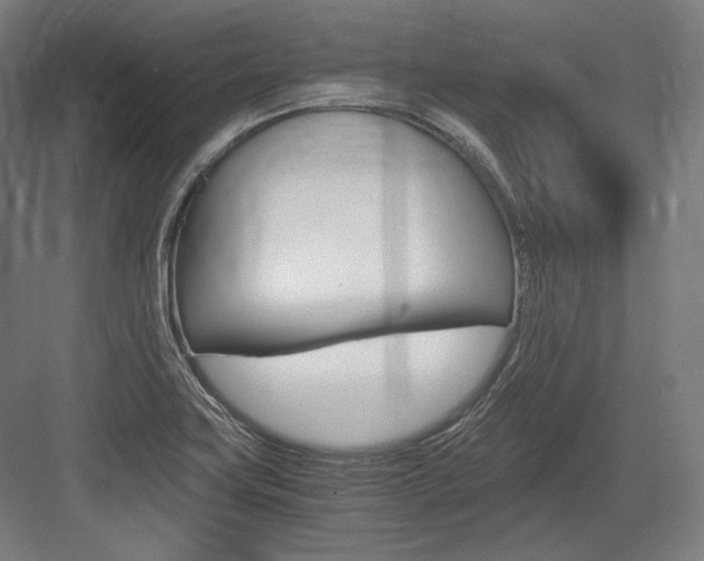 X0000084001419200702160745