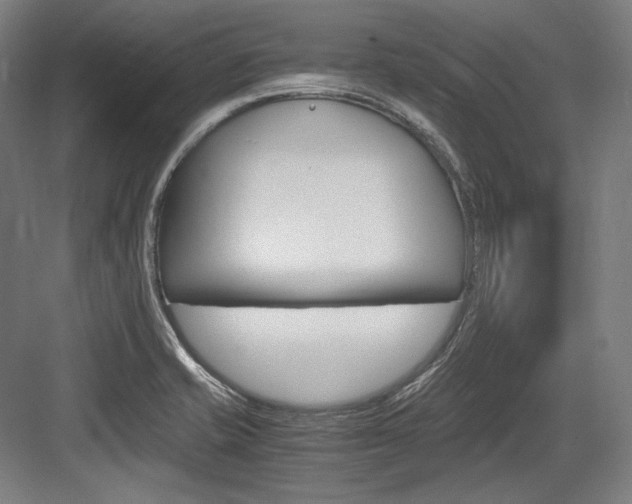 X0000084001421200702160745