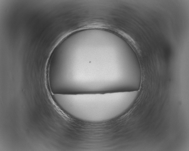 X0000084001423200702160745