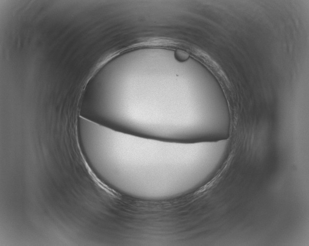 X0000084001425200702160745