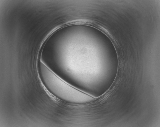 X0000084001426200702160745