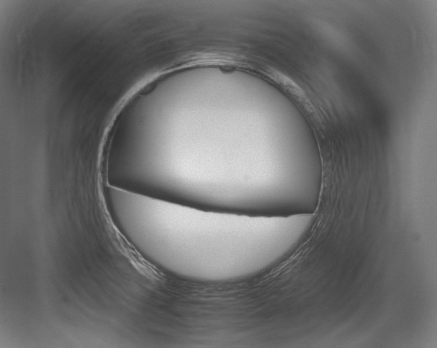X0000084001427200702160745