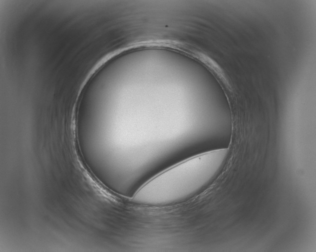X0000084001428200702160745
