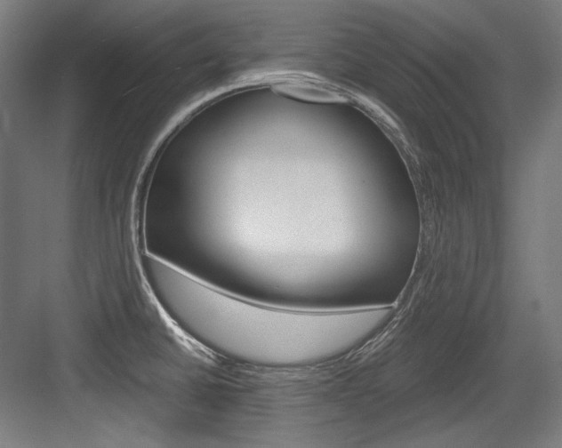 X0000084001430200702160745