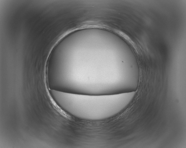 X0000084001431200702160745