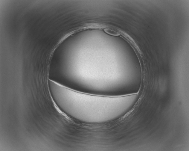 X0000084001433200702160745