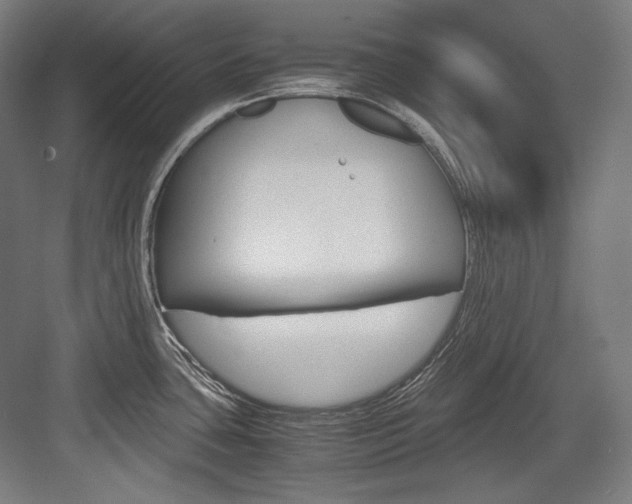 X0000084001435200702160745