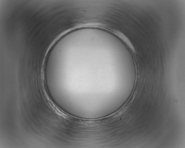 X0000084001436200702160745