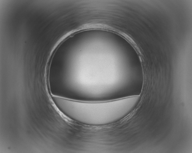 X0000084001438200702160745