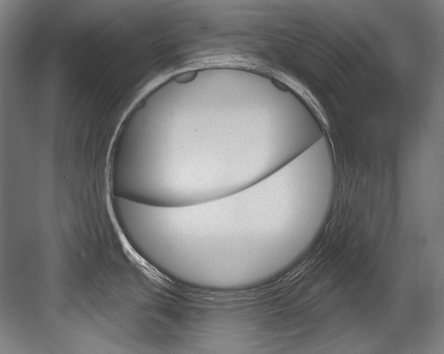 X0000084001439200702160745