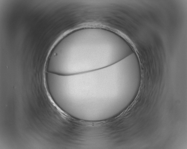 X0000084001440200702160745