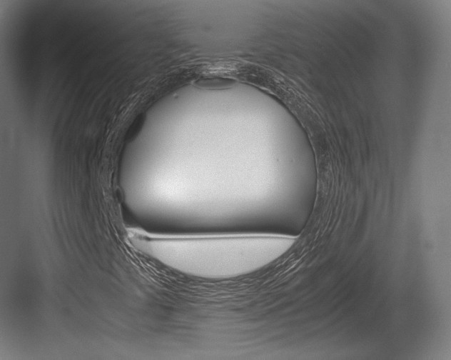 X0000084001441200702160744