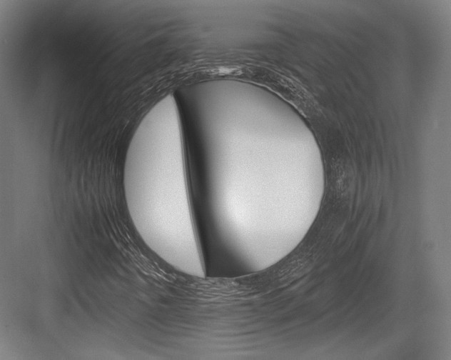 X0000084001442200702160744