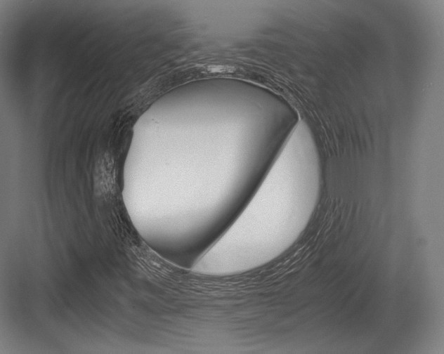 X0000084001443200702160744