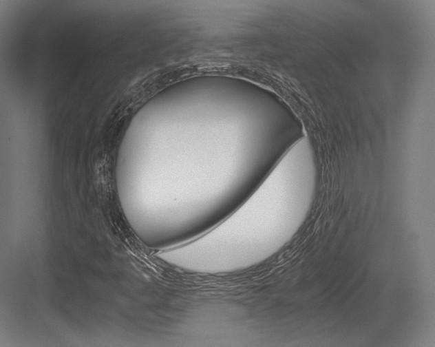 X0000084001445200702160744