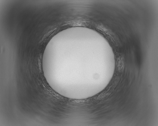X0000084001446200702160744