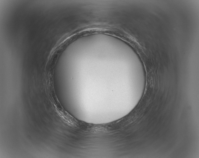 X0000084001448200702160744