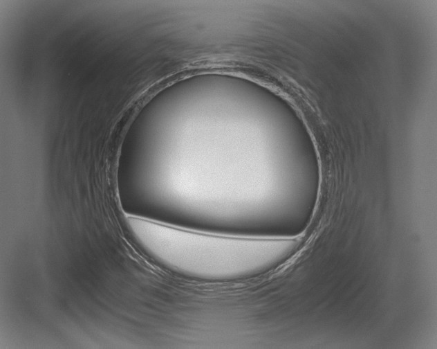 X0000084001449200702160744