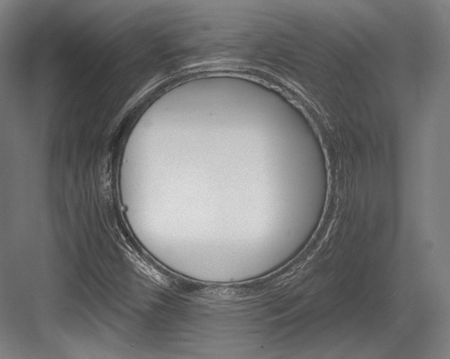X0000084001450200702160744