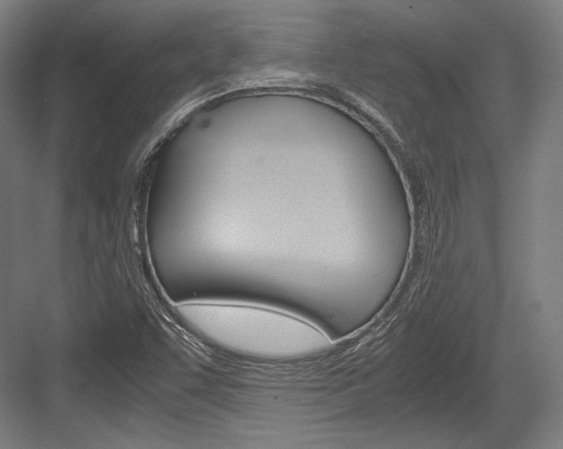 X0000084001455200702160744
