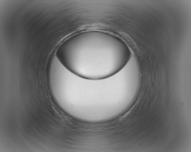 X0000084001457200702160744
